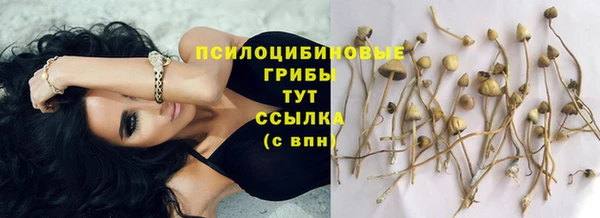 твердый Арсеньев