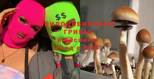 спиды Армянск
