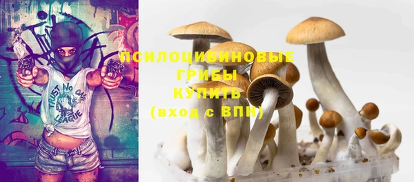 спиды Армянск