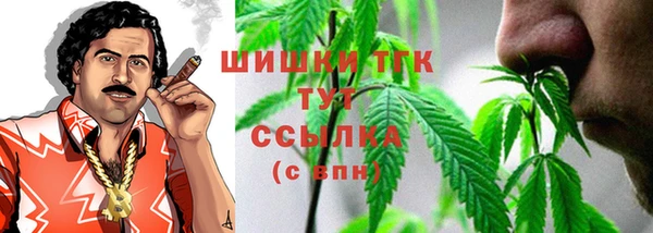 твердый Арсеньев